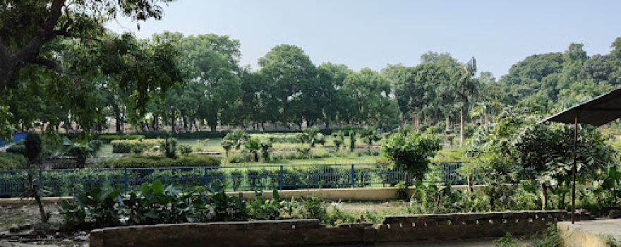 Hari Baba Bandh Dham Garden&Park