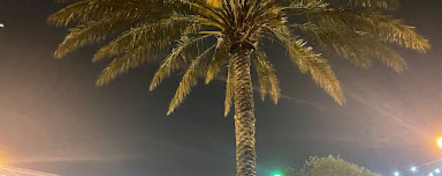 King Fahd Park