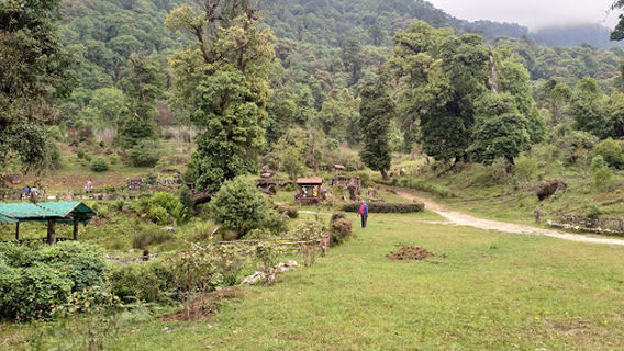 Paro