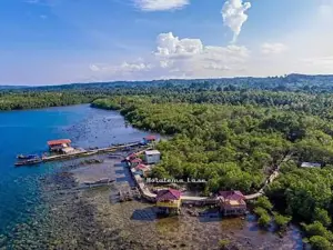 Objek Wisata Maggrove Sisarahili TS