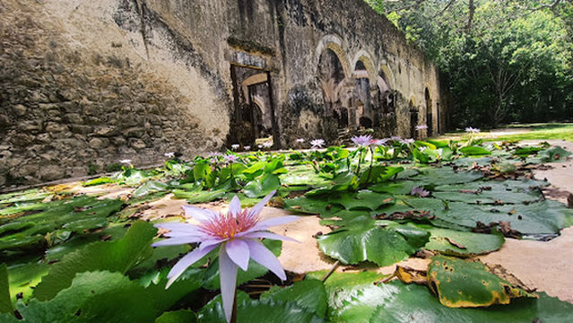 Chelita Travel Campeche