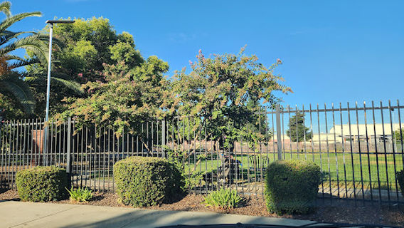 Exeter Bark Park