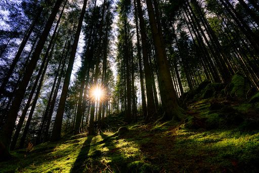 The Hérou - Natural Park of the two Ourthes