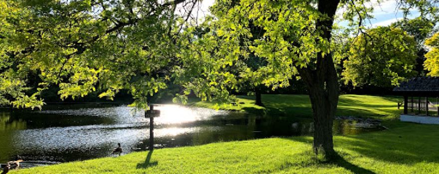 Addison Oaks - Disc Golf