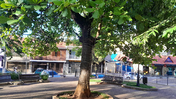 PRAÇA JOSE SACRAMENTO E SILVA (MATRIZ) DE PORTO FELIZ