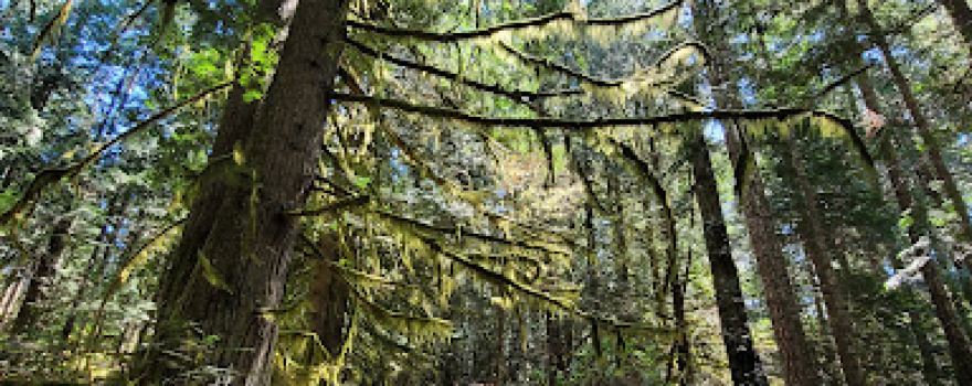 Mount Geoffrey Regional Nature Park
