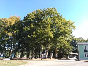 Mosteiro - Pol