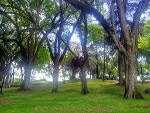 Municipal Amphitheater Pedro Carossi