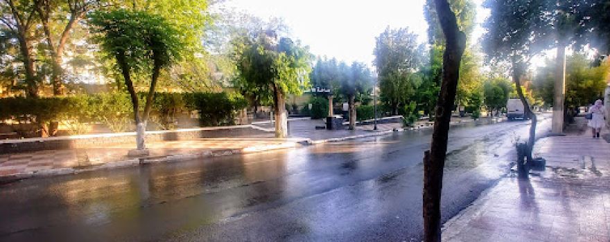 Public Garden