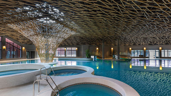 Family wellness Termalija