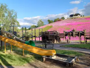 Recreation Park