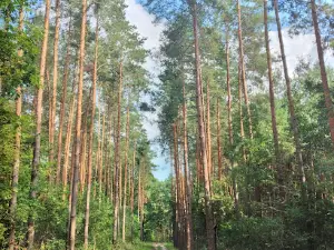 Skałki Przysuskie