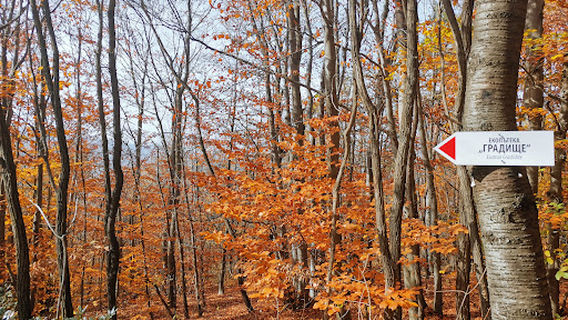 Medievel settlement of Gabrovo