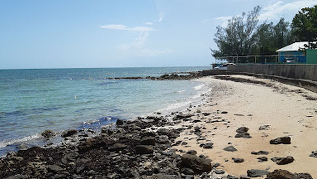 South Beach Wetlands