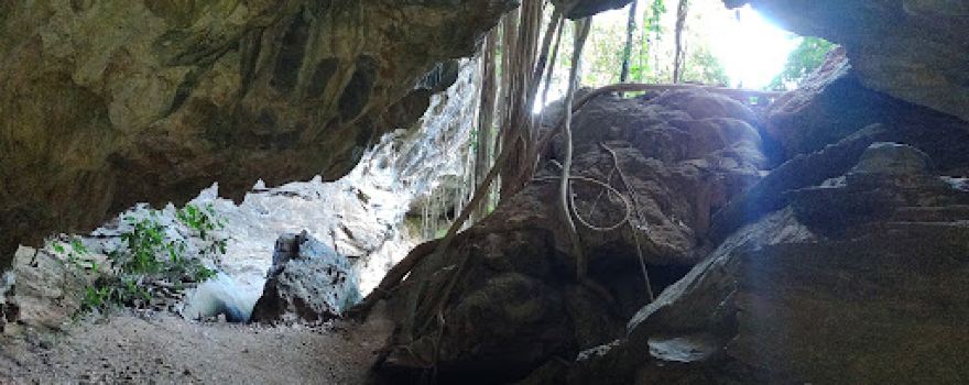 Gruta Pau - Ferro