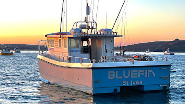Bluefin Boat Trips St Ives