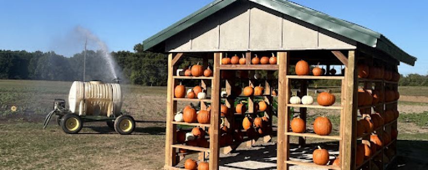 Wood Farms Pumpkin Patch