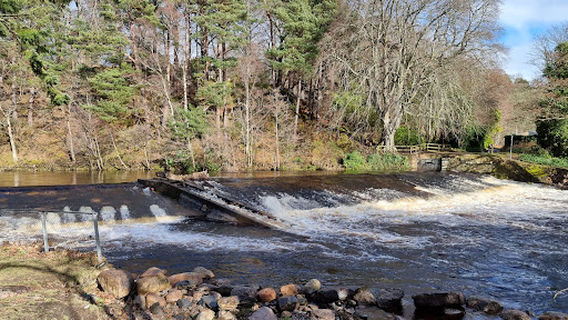 Alness