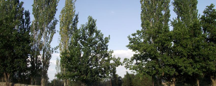 Kayağıl Camii
