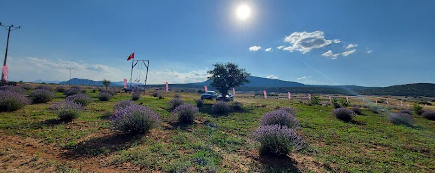 Ispartamdan (Kuyucak Isparta Lavanta Köyü)