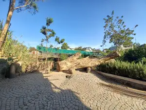 Zoma Museum Mekanisa
