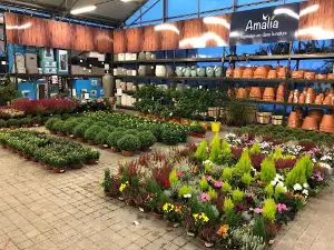 Jardinerie Amalia