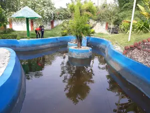 Ananya Vatika, Hasdeo Area, SECL