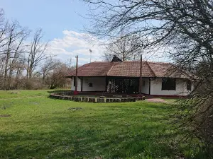 Püspökladány-Farkasszigeti Arborétum