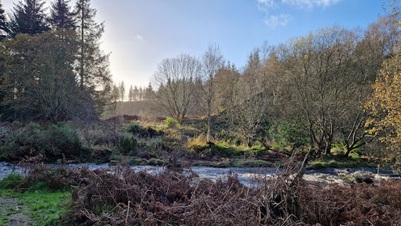 Aberdeen