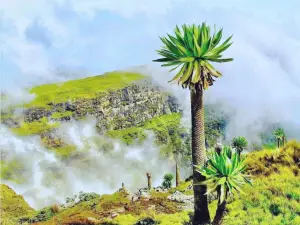 Ras Dashen