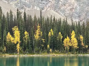 Taylor Lake Trailhead