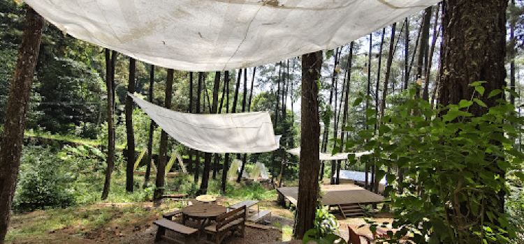 The Nest Cafe - Tretes Jungle Hill