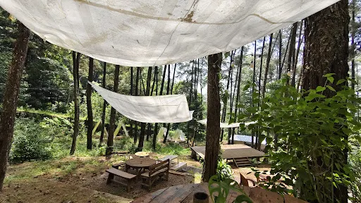 The Nest Cafe - Tretes Jungle Hill