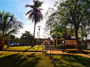 Praça Do Coqueiro