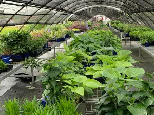 Landscape Direct