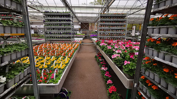 Tuincentrum Maréchal