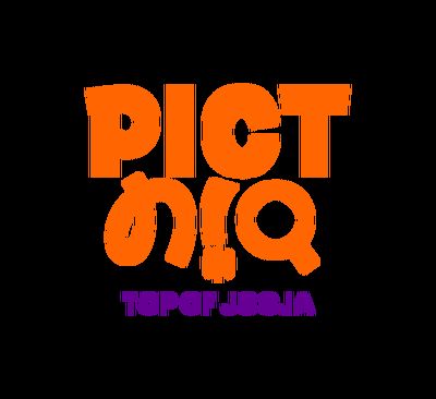 PICTNIQ