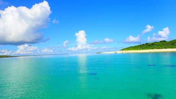 西表島 KEN GUIDE