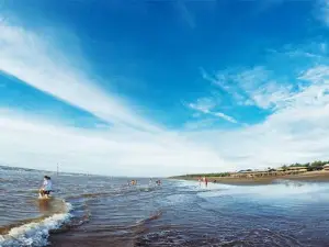Bãi biển Cồn Vành
