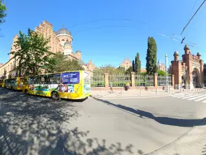 Chernivtsi Cinema