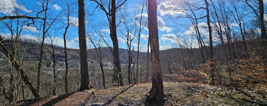 Birdsboro Preserve
