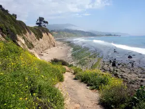 Rincon Beach County Park