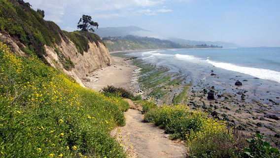 Rincon Beach County Park