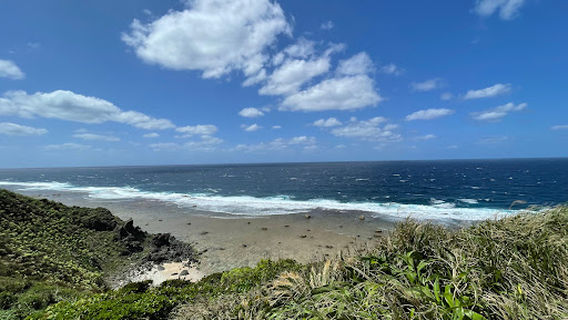 Dream-fulfilling Turtle