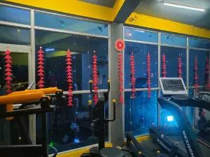 Platinum gym