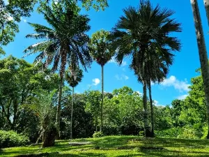 Victoria Botanical Gardens