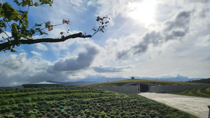3_頭大佛