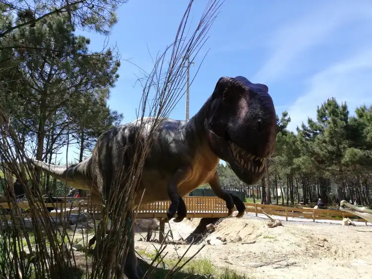 Hotels in Sao Bartolomeu dos Galegos