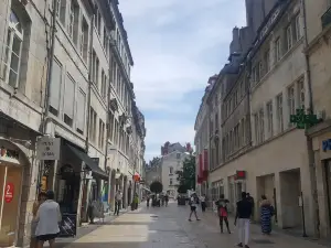 Les Passages Pasteur