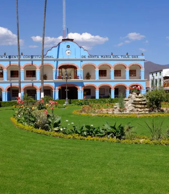 Santa Maria del Tule